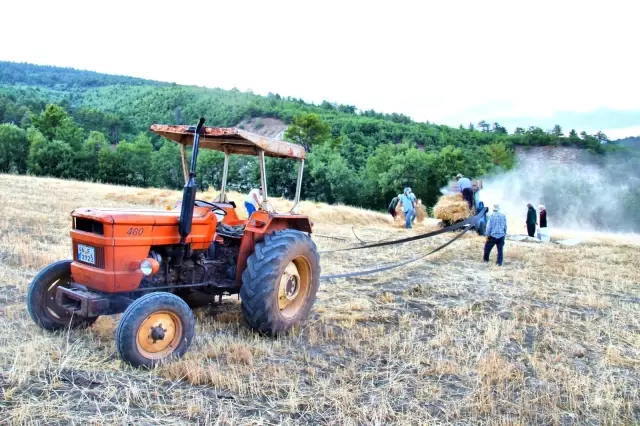 Göksun'da ekinler biçilmeye başladı