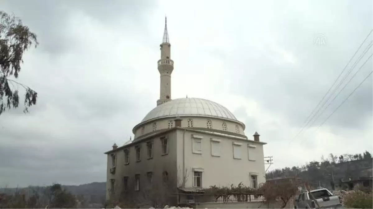 Orman yangınlarında