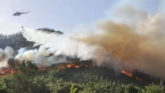 Son Dakika: 11 gündür devam eden Muğla Milas yangını kontrol altına alındı Son Dakika: 11 gündür devam eden Muğla Milas yangını kontrol altına alındı