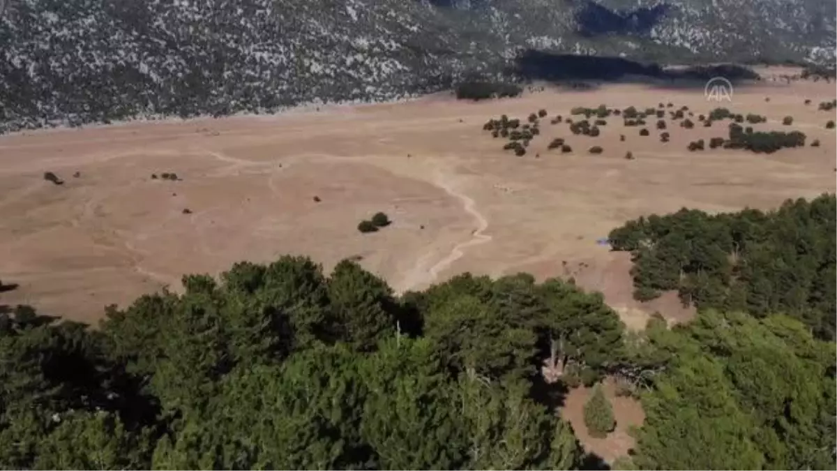 Yangın sonrası yılkı atları için ovaya tonlarca yem ve saman bırakıldı