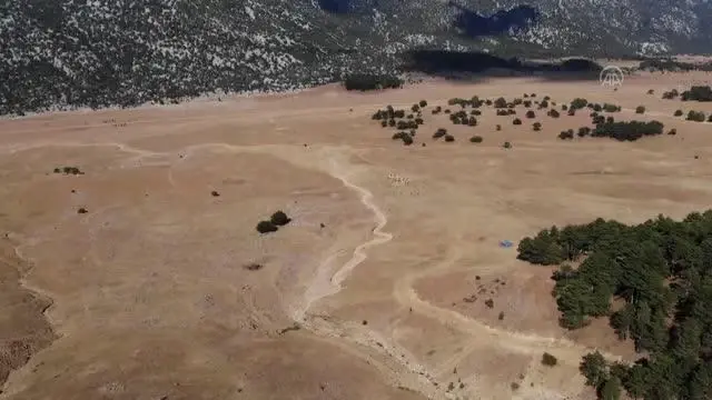 Yangın sonrası yılkı atları için ovaya tonlarca yem ve saman bırakıldı