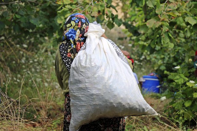 yollari kapandi 2 yildir tarlalarina gidemiyo 4 14322273 o