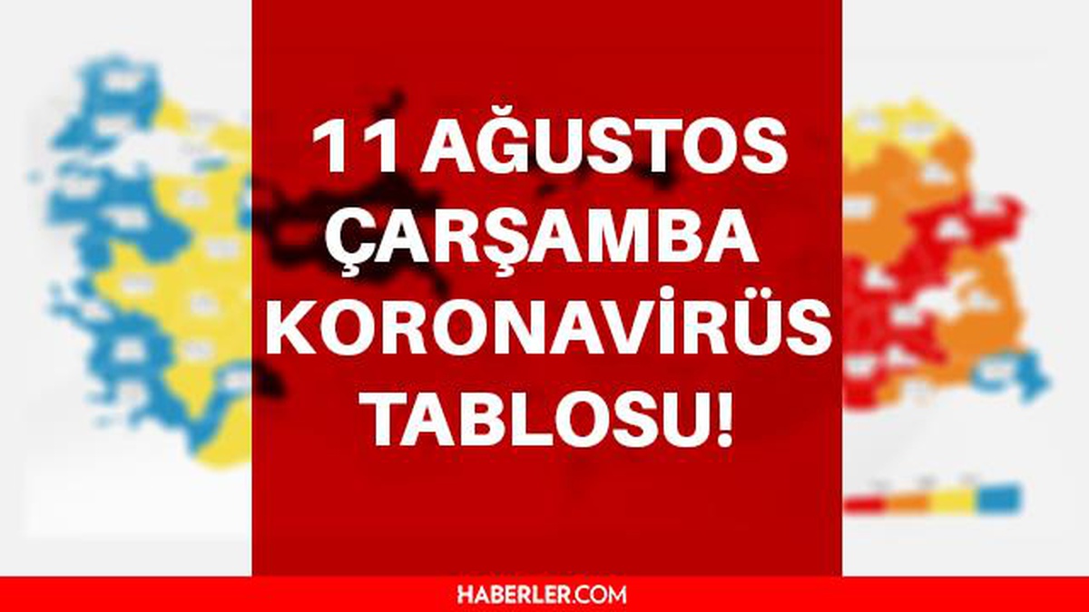 11 Ağustos Çarşamba koronavirüs tablosu! 11 Ağustos Türkiye'de bugün koronavirüsten kaç kişi öldü, kaç kişi iyileşti? İşte 11 Ağustos Korona tablosu! - Vimarsana News