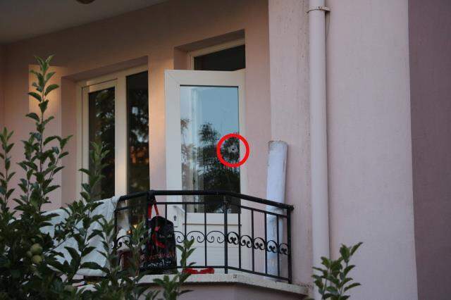 4 kişinin öldüğü olayda komşular konuştu: Silah seslerini çocukların patlattıkları torpil sesi sandık
