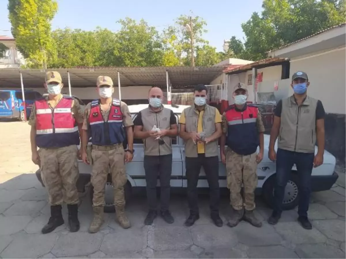 Adilcevaz'da şahin avı yapan 2 kişiye 13 bin lira ceza