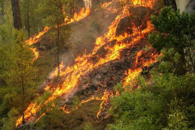 Antalya ve Muğla'da mücadele sürerken Burdur'dan da dumanlar yükseldi: Bu yangın tehlikeli