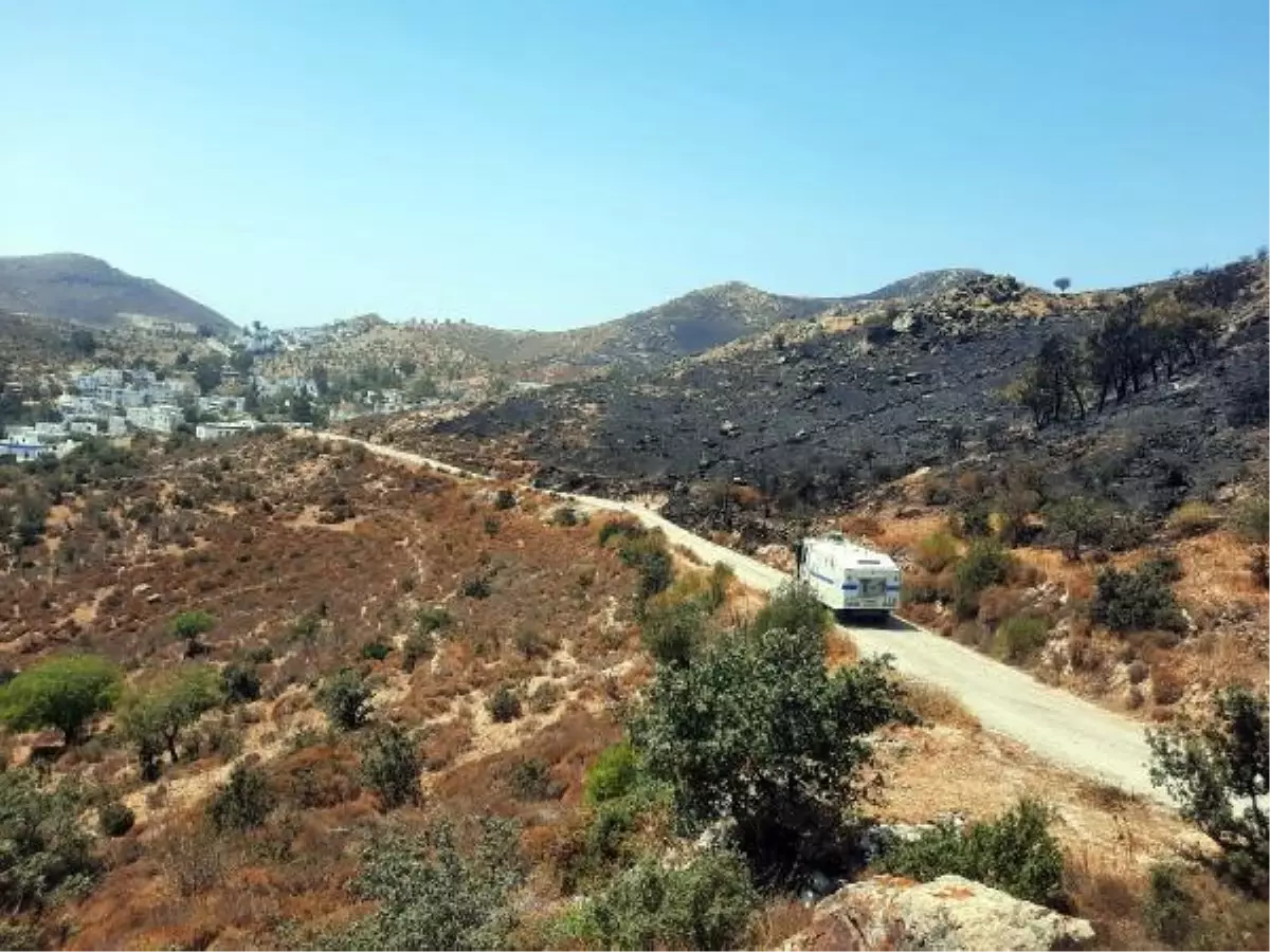 Bodrum'daki yangında 20 hektar makilik alan yandı