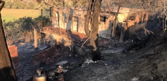 Bucak yangınında 53 ev boşaltıldı