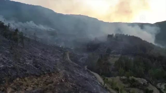 Drone - Bucak'taki orman yangınını söndürme çalışmaları sürüyor