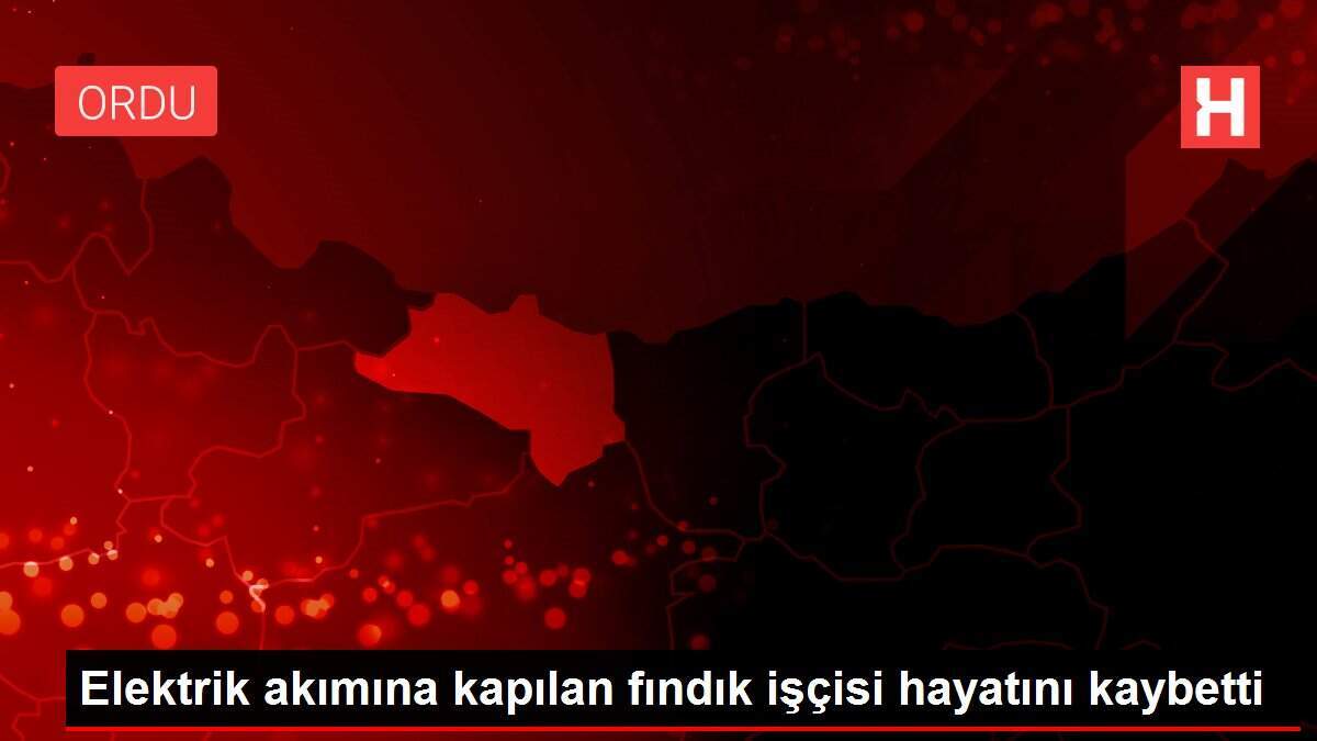 Elektrik akımına kapılan fındık işçisi hayatını kaybetti - Vimarsana News