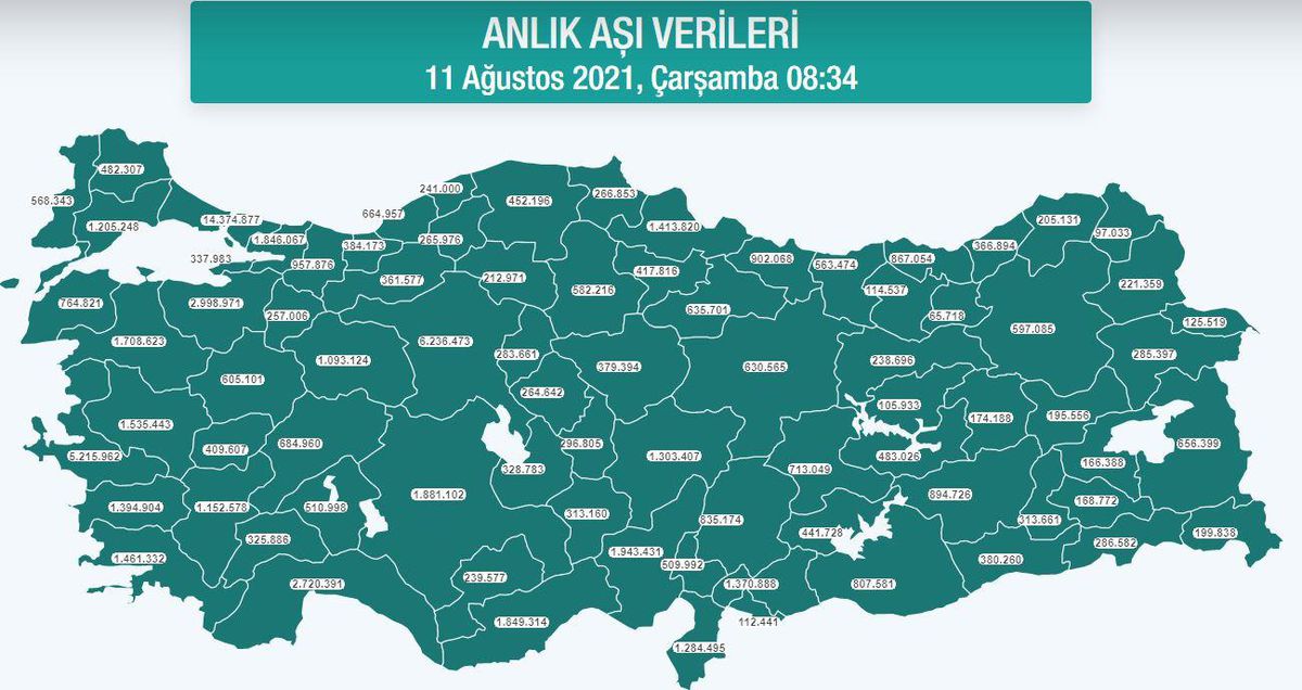 Hangi ilde ne kadar aşı yapıldı? İstanbul, Ankara, İzmir, Bursa, Adana, Samsun aşı sayıları ve aşı haritası! 11 Ağustos günlük aşı ve doz sayıları!