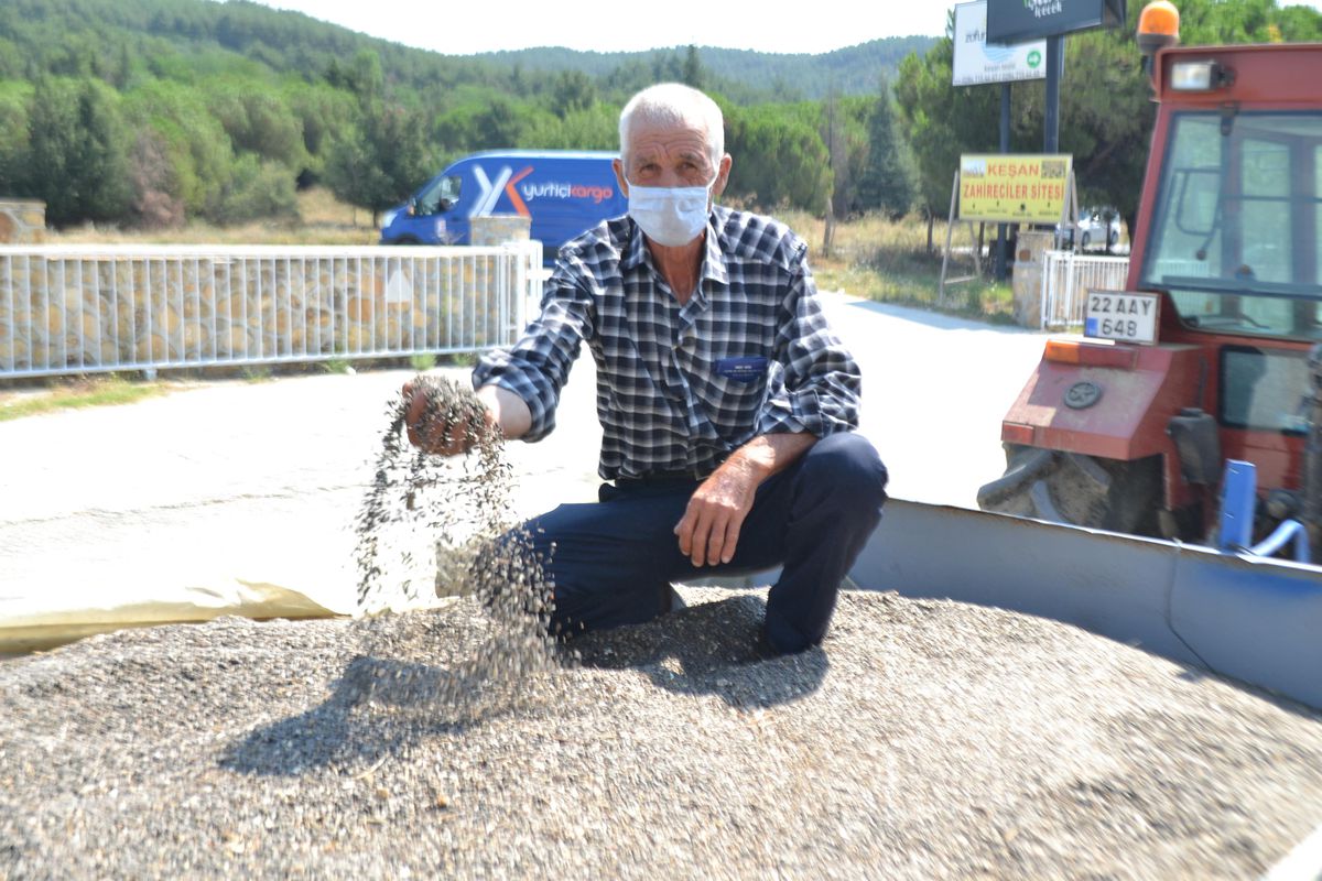Keşan'da yılın ilk ayçiçeği ürününün salon satışı yapıldı