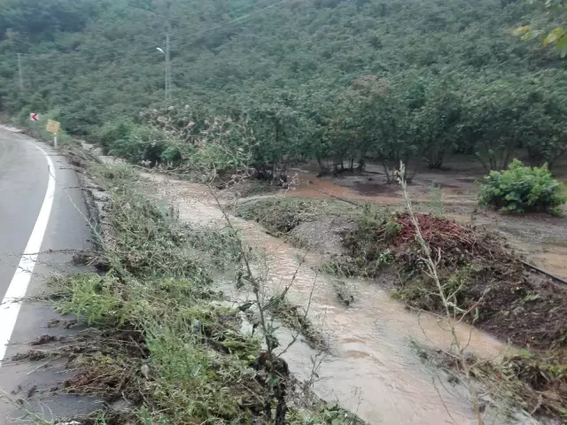Ordu'da sağanak nedeniyle dere taştı, yol geçici olarak ulaşıma kapandı