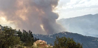 Orman yangınları: Cezayir'de 25 asker ve 17 sivil hayatını kaybetti