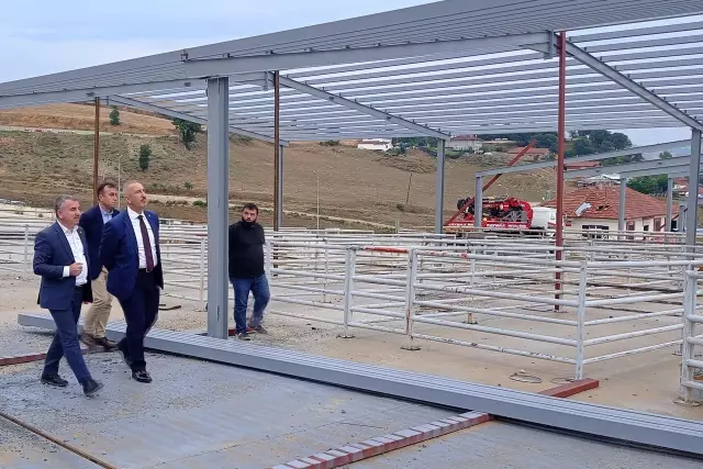 Samsun'dan kısa kısa