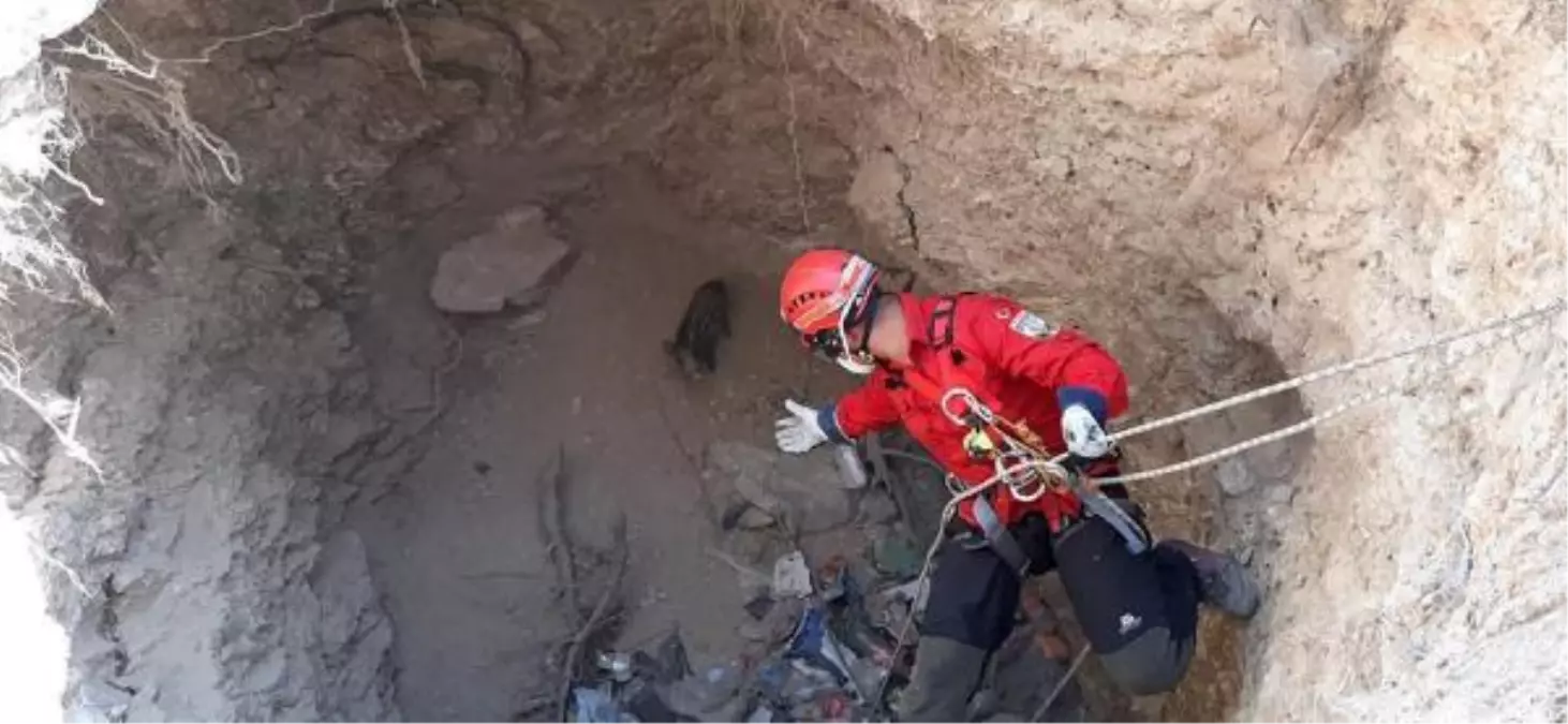 Su kuyusuna düşen domuz yavrusuna halatlı kurtarma