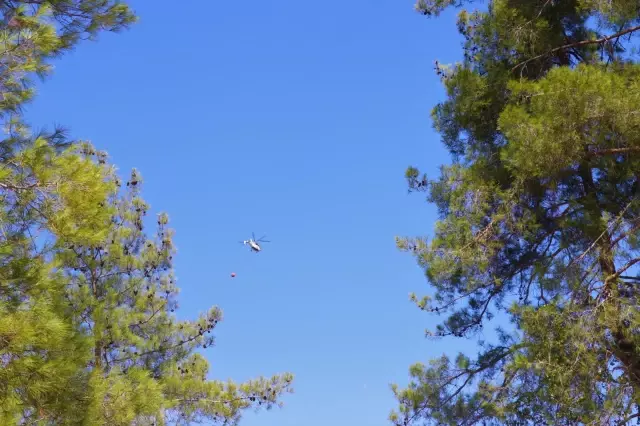 Drone - Bucak'taki orman yangınını söndürme çalışmaları sürüyor