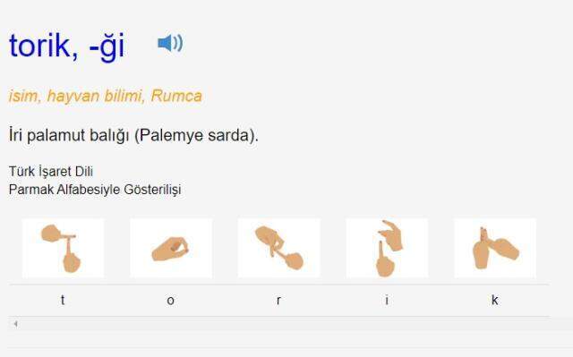 Torik ne demek? TDK'ya göre torik nedir, ne anlama geliyor? Torik kelimesinin anlamı nedir?