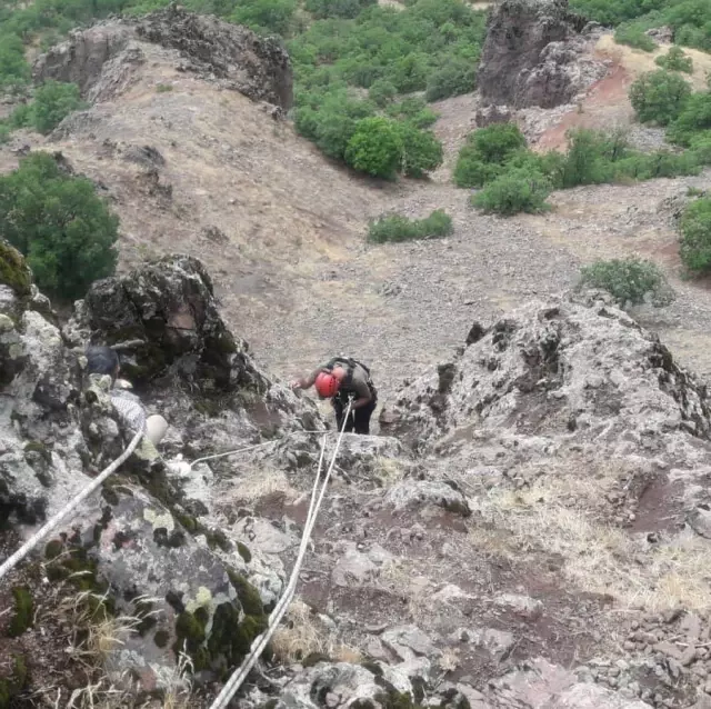 Tunceli'de kurttan kaçarken kayalıkta mahsur kalan keçileri AFAD ekipleri kurtardı
