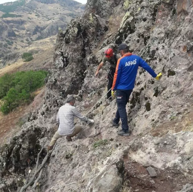 Tunceli'de kurttan kaçarken kayalıkta mahsur kalan keçileri AFAD ekipleri kurtardı