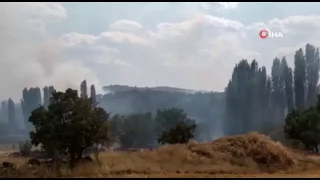 Uşak'ta çıkan yangına havadan müdahale ediliyor