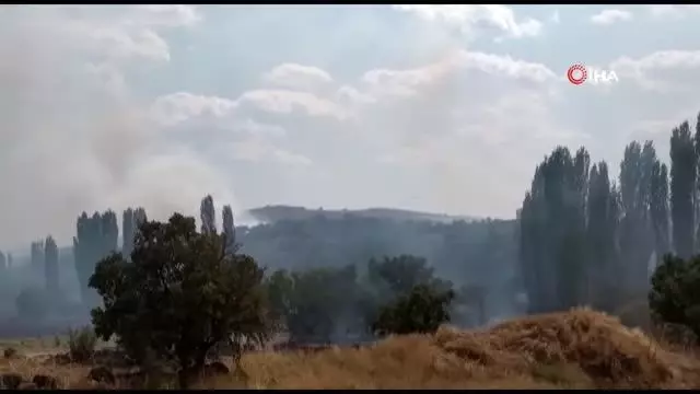 Uşak'ta çıkan yangına havadan müdahale ediliyor