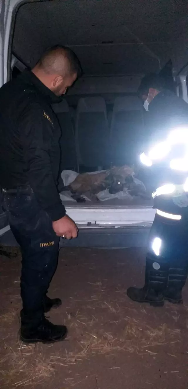 Son dakika 3. sayfa: Zift birikintisine düşen köpeği itfaiye ekibi kurtardı