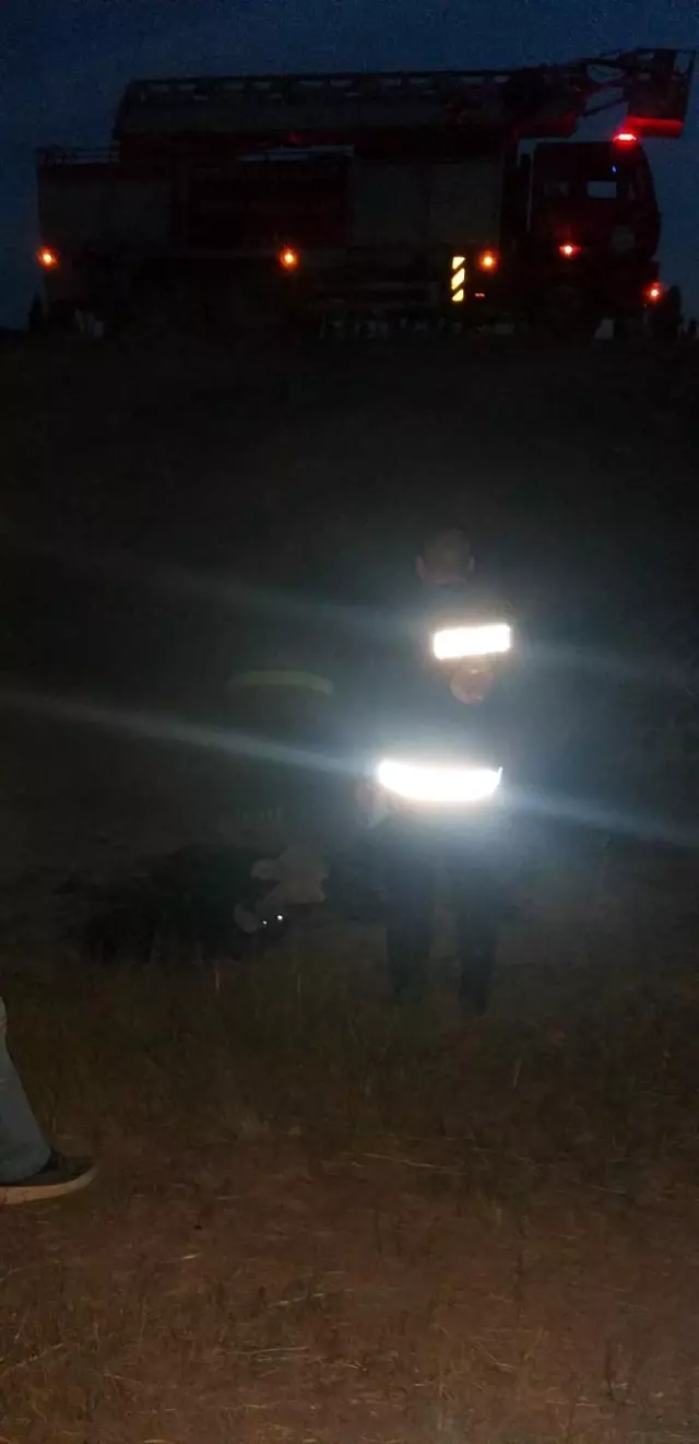 Son dakika 3. sayfa: Zift birikintisine düşen köpeği itfaiye ekibi kurtardı
