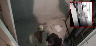 Asansör boşluğuna düşerek can veren 2 aylık bebeğin ölümünde kahreden detay: Kaç defa söyledik
