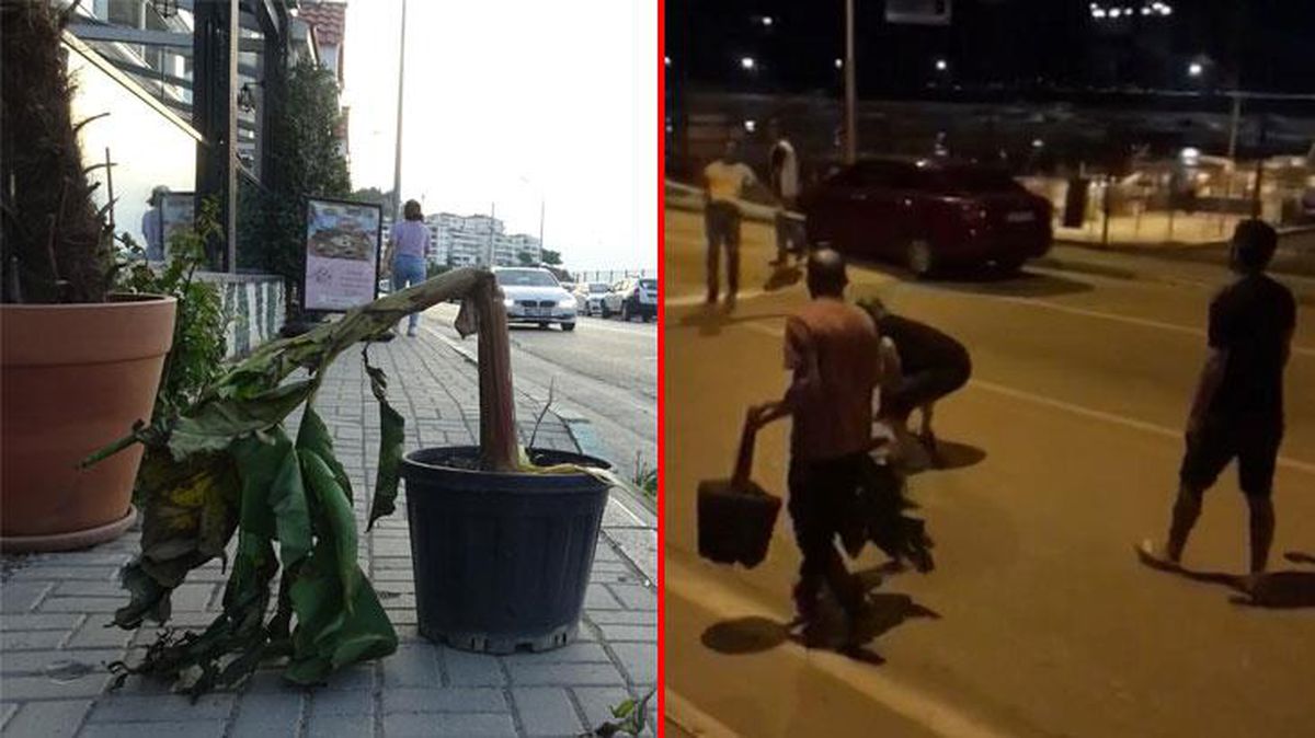 Birbirine giren 2 grubun bariyer ve muz ağaçlı kavgası kamerada