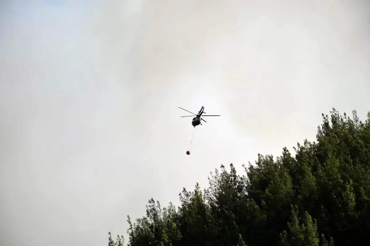 Son dakika haberi... Bucak yangını kontrol altında