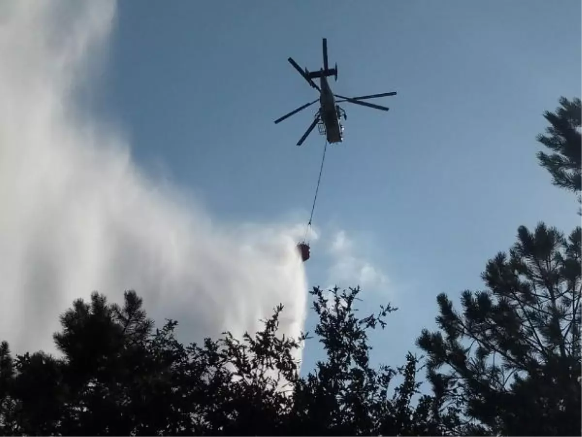 Son dakika gündem: Bursa'da ormanlık alanda yangın