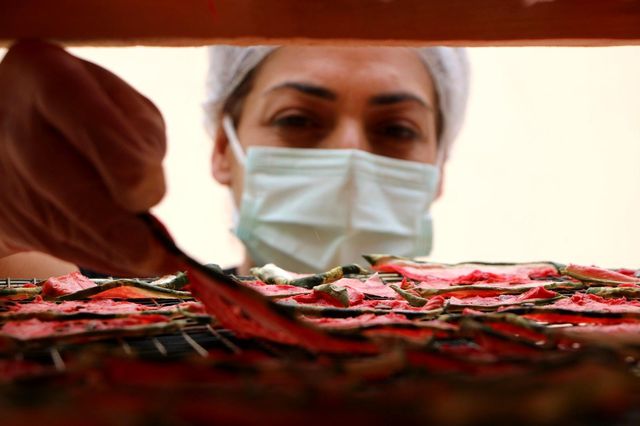 Devletten destek aldı, karpuzdan cips yapıp dünyaya pazarlamaya başladı Devletten destek aldı, karpuzdan cips yapıp dünyaya pazarlamaya başladı