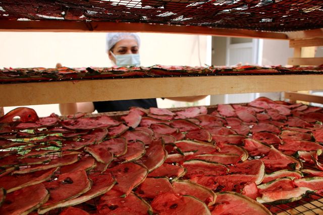 Devletten destek aldı, karpuzdan cips yapıp dünyaya pazarlamaya başladı Devletten destek aldı, karpuzdan cips yapıp dünyaya pazarlamaya başladı