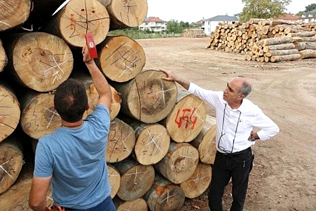 Düzce'de 457 bin metreküp odun üretildi - Vimarsana News
