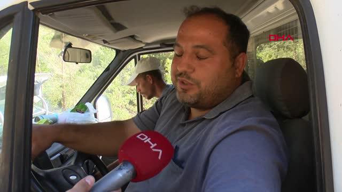 Köyceğiz'de 15 bin hektar alan yandı, evlere dönüş başladı - Vimarsana News