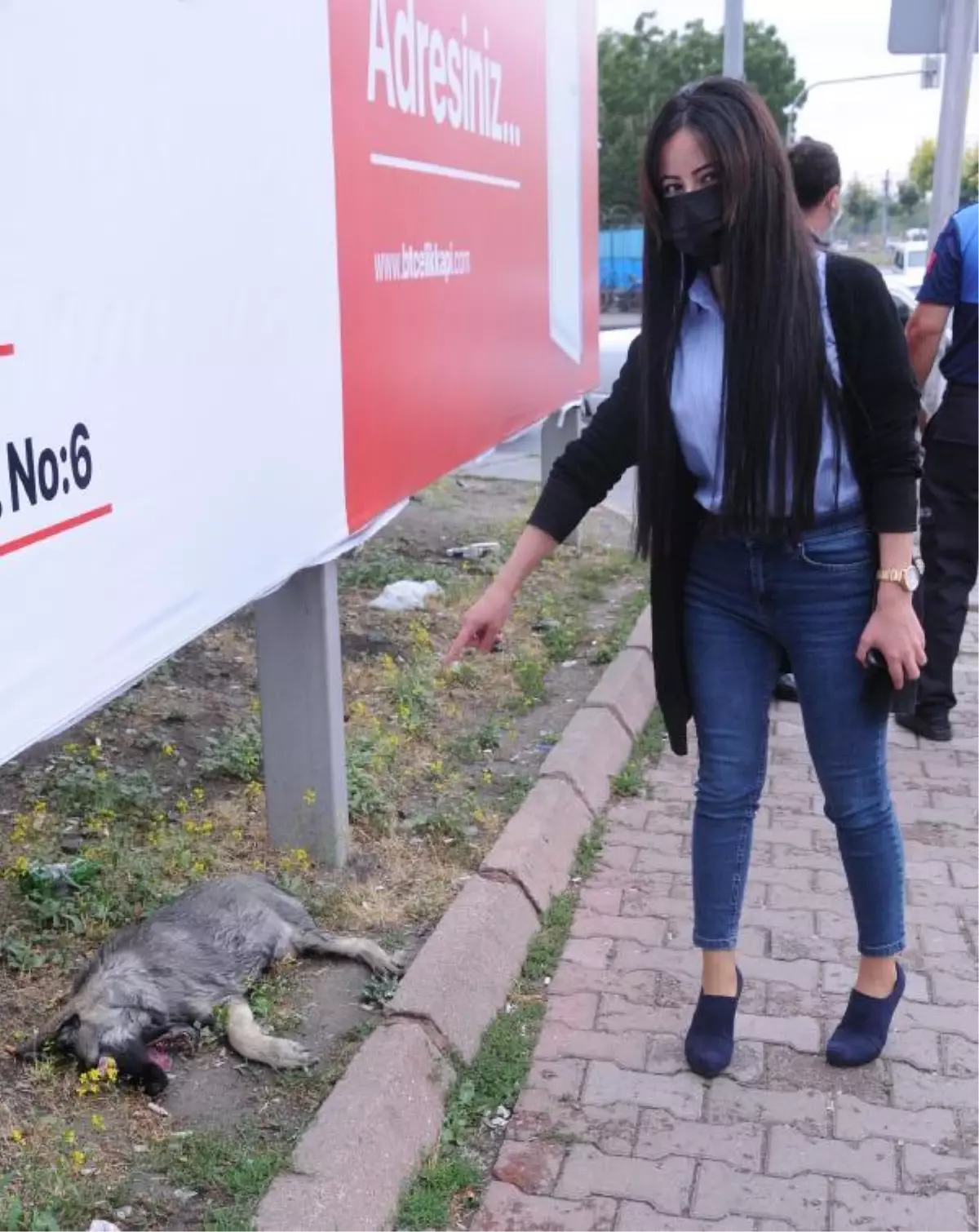 Parkta, gözleri oyulmuş ölü köpek bulundu