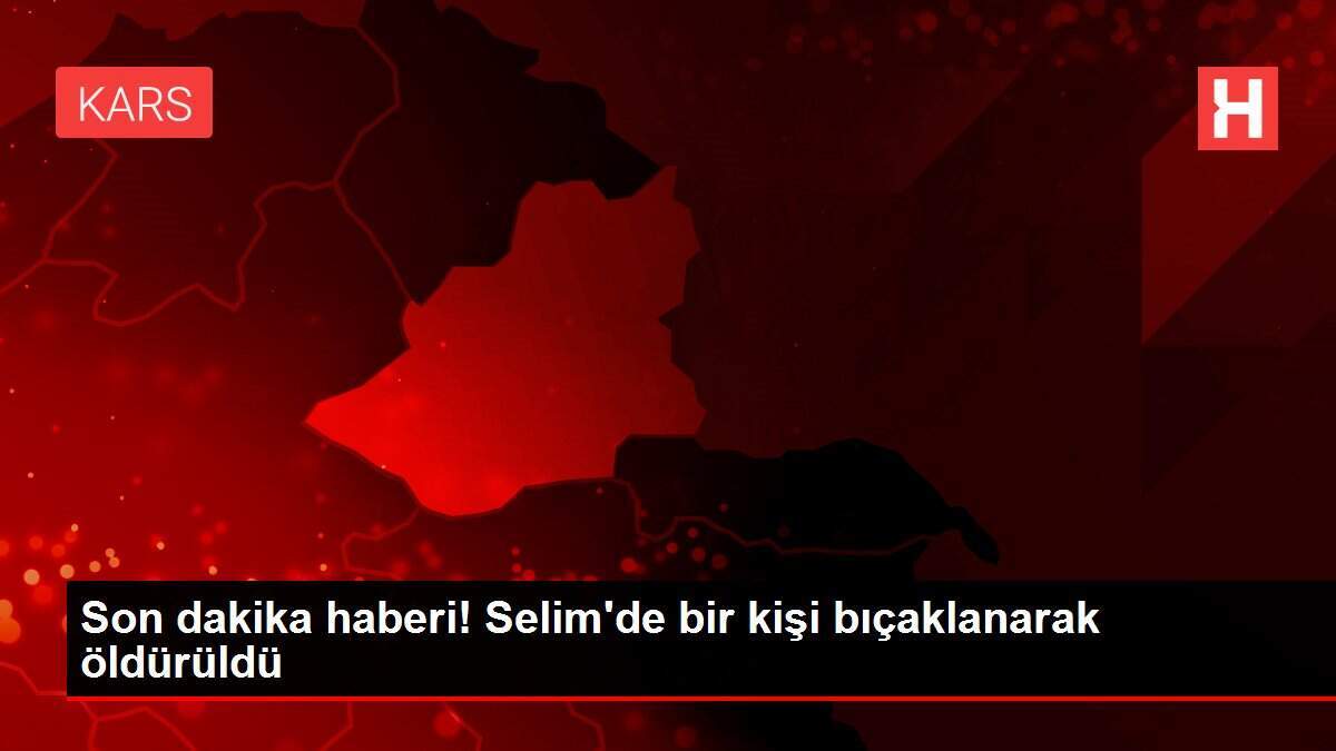 Son dakika haberi! Selim'de bir kişi bıçaklanarak öldürüldü - Vimarsana News