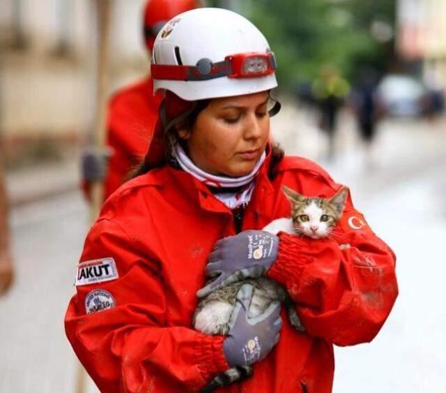 Selin vurduğu Bozkurt'ta kurtarma çalışmaları havadan ve karadan devam ediyor Selin vurduğu Bozkurt'ta kurtarma çalışmaları havadan ve karadan devam ediyor