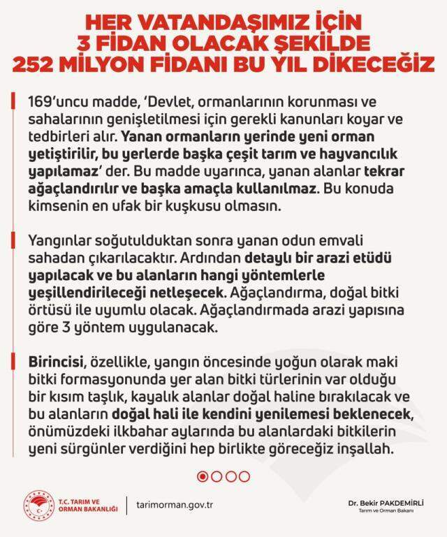 Son Dakika: Türkiye'de 28 Temmuz itibarıyla başlayan büyük orman yangınlarının tümü kontrol altına alındı Son Dakika: Türkiye'de 28 Temmuz itibarıyla başlayan büyük orman yangınlarının tümü kontrol altına alındı