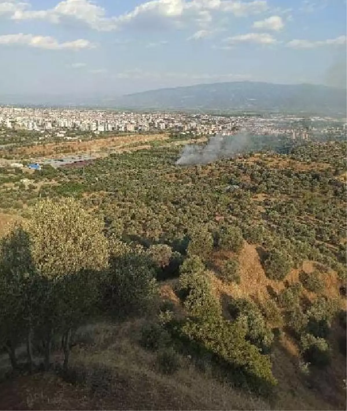 Tadilatta ağaçlık yangınına neden olan ev sahibi serbest