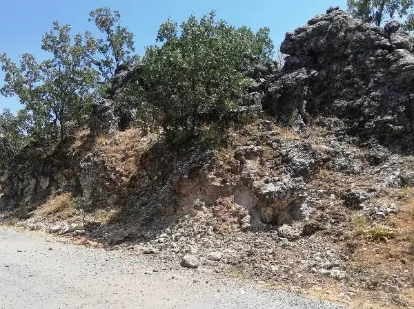 TERÖRİSTLERİN YOL KENARINA TUZAKLADIĞI PATLAYICI İMHA EDİLDİ