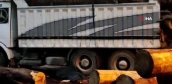 Üzerine tomruk düşen kamyon şoförü hayatını kaybetti