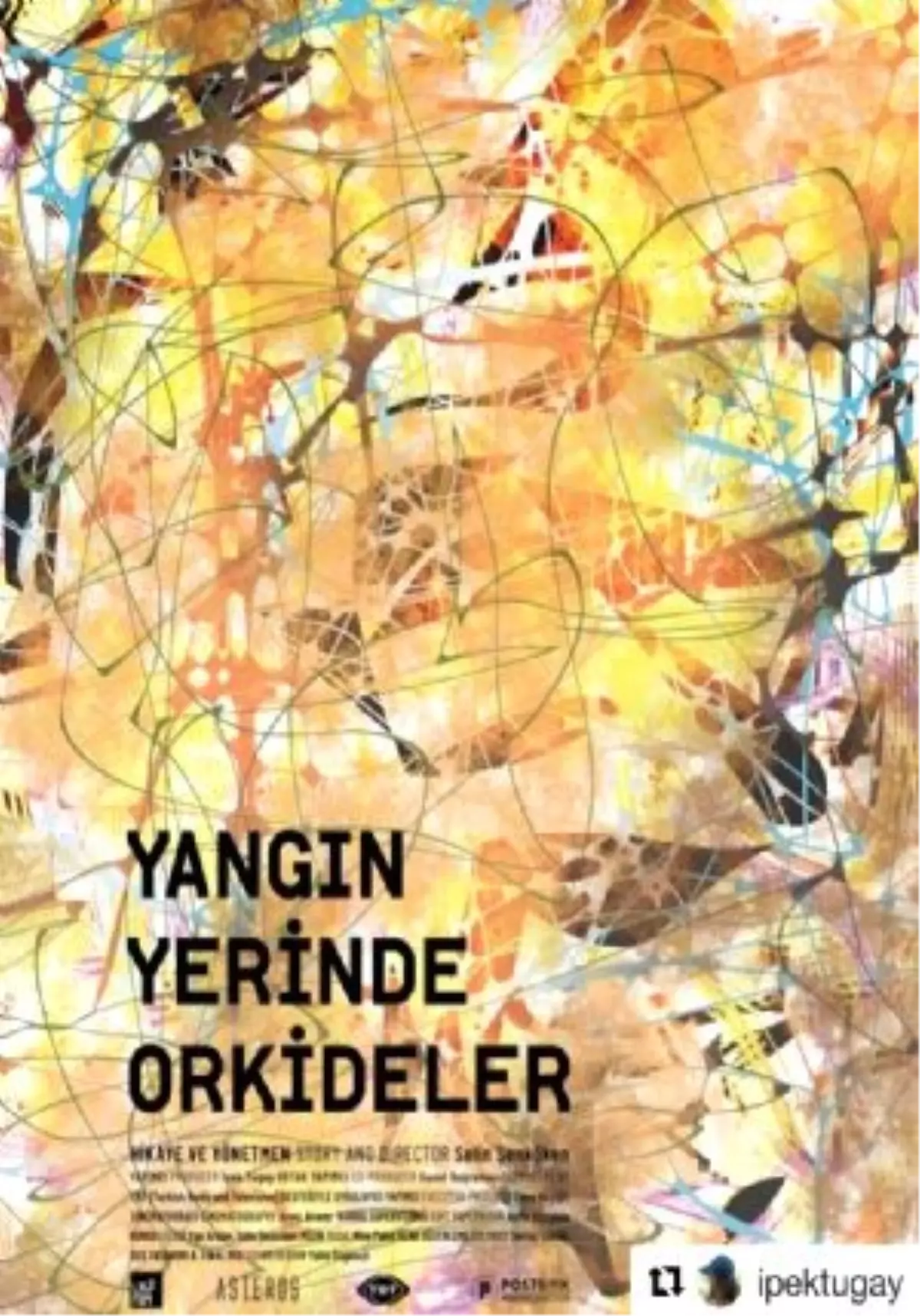 Yangın Yerinde Orkideler Filmi