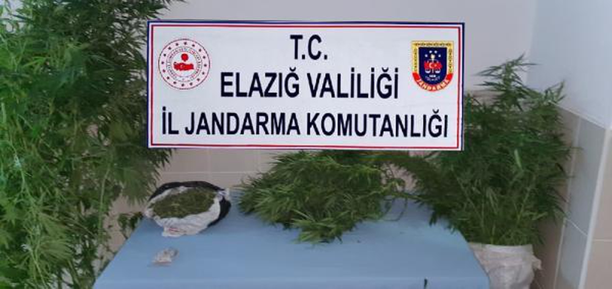 Son dakika haberi: Elazığ'da uyuşturucu operasyonu: 3 gözaltı - Vimarsana News