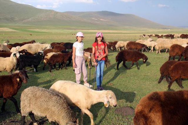 GOLFÇÜ ÇOBAN KIZLAR