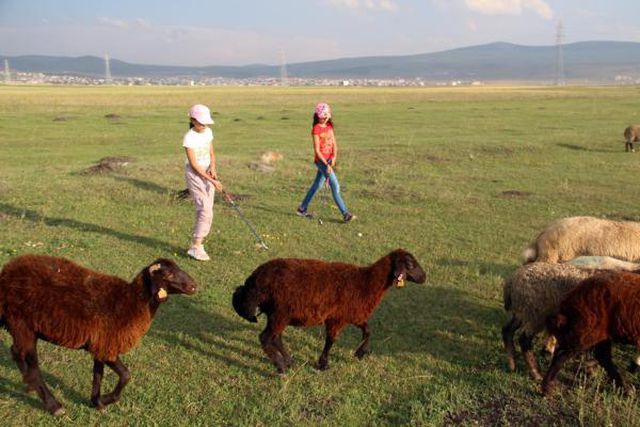 GOLFÇÜ ÇOBAN KIZLAR
