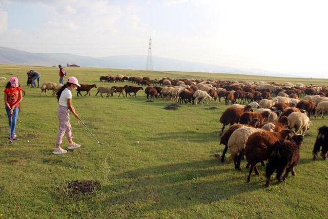 GOLFÇÜ ÇOBAN KIZLAR