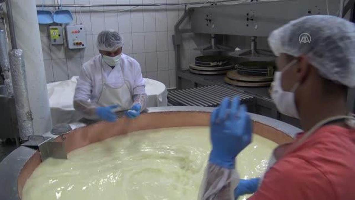 Gravyer peynirinin 9 ay süren lezzet yolculuğu