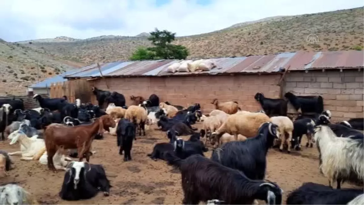 Muz üreticileri gübreyi, Bozkır'dan tedarik ediyor